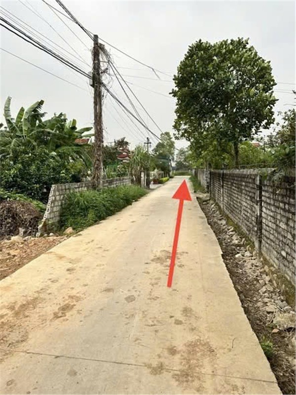  ĐẤT ĐẸP – GIÁ TỐT  - CẦN BÁN LÔ ĐẤT VỊ TRÍ ĐẸP  TẠI Xã Quỳnh Bảng, Huyện Quỳnh Lưu, Nghệ An 