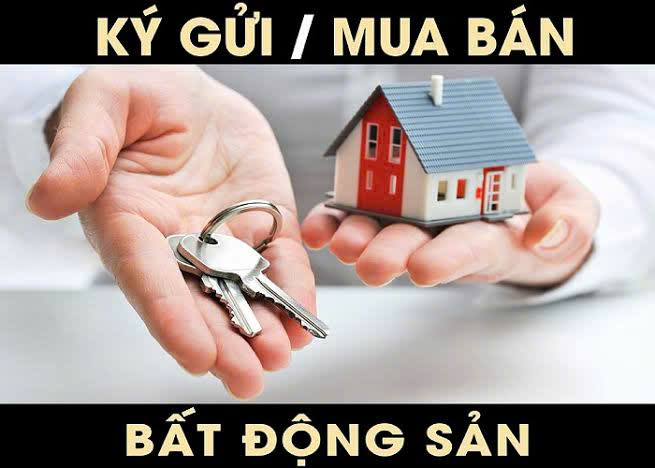  Nhận Môi Giới
Tài Sản Nhà Phố
tại

Ứng Hòa

Gọi ngay
0972078667 