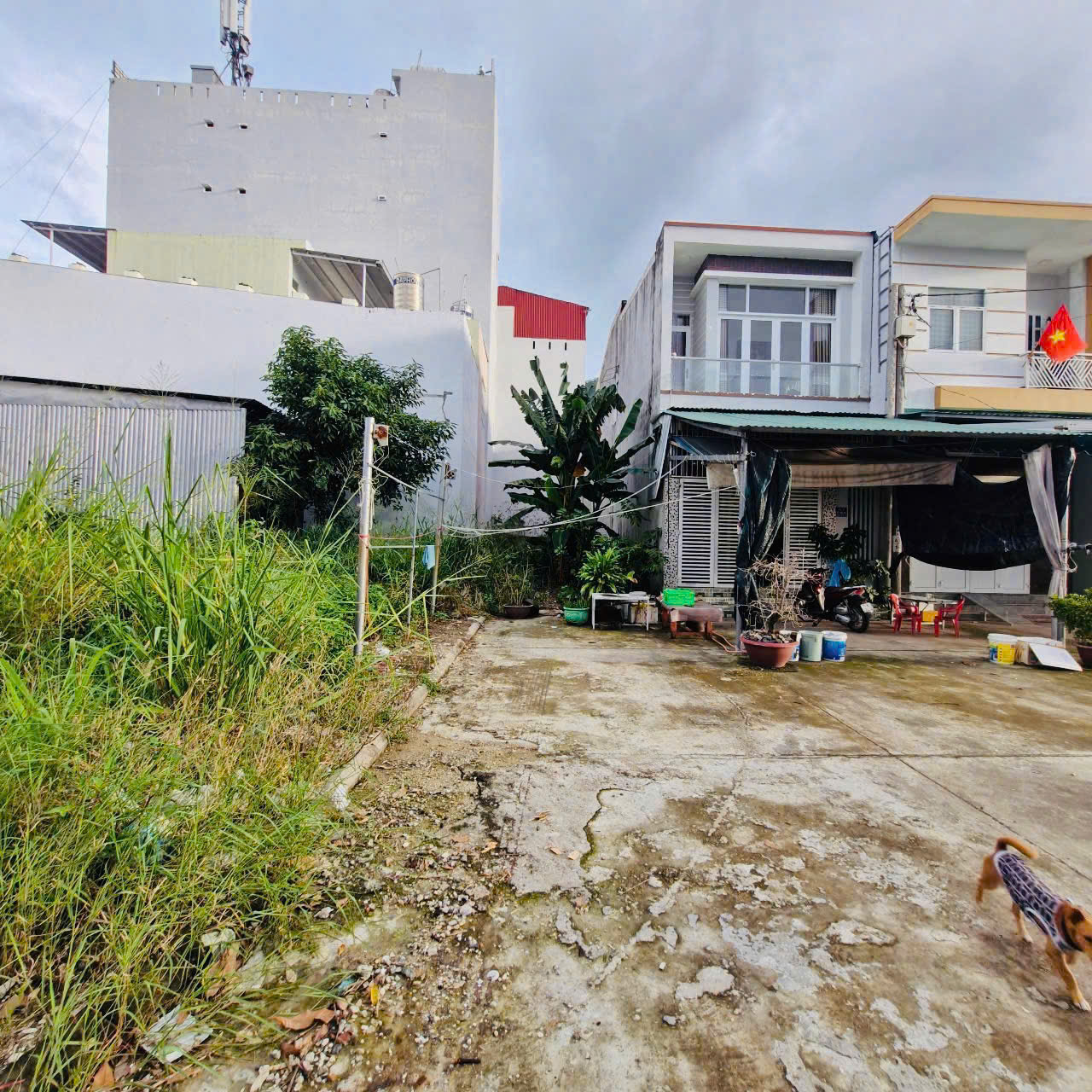  HIẾM CÓ!!! GIÁ CỰC TỐT – BÁN LÔ ĐẤT TĐC HÒN RỚ 2
HƯỚNG SÔNG – GẦN SUN GROUP & CỤM ĐẠI HỌC NAM NHA TRANG 