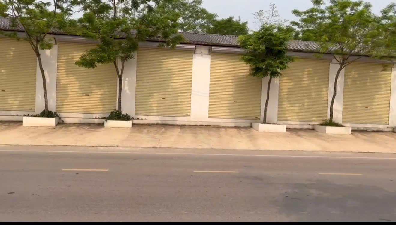  CHÍNH CHỦ CHO THUÊ NHÀ NGUYÊN CĂN – XÃ TAM QUAN, HUYỆN TAM ĐẢO, VĨNH PHÚC 