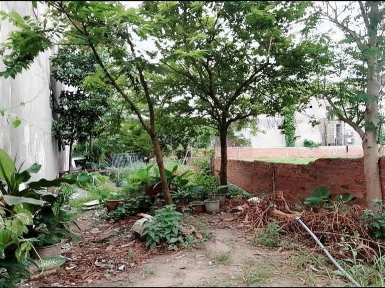  H1710 ???????? đất Nở hậu Lê Văn Khương Q12, 233m2, SHR, 7.x tỷ 