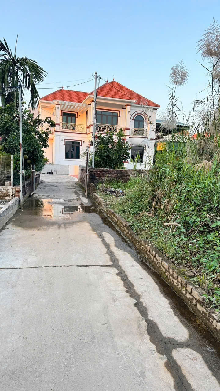  Gửi kho lô 50m Thư Dương -  Thư Phú - Thường Tín - Ô tô đỗ cửa - Giá đầu tư nhỉnh 2 tỷ 