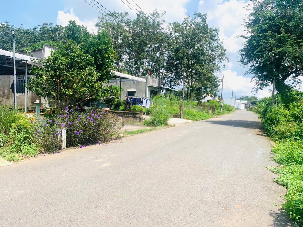  ???? Ưu đãi đặc biệt: Tặng ngay 20 triệu khi cọc 50 triệu – Đất thổ cư sát KCN Minh Hưng 