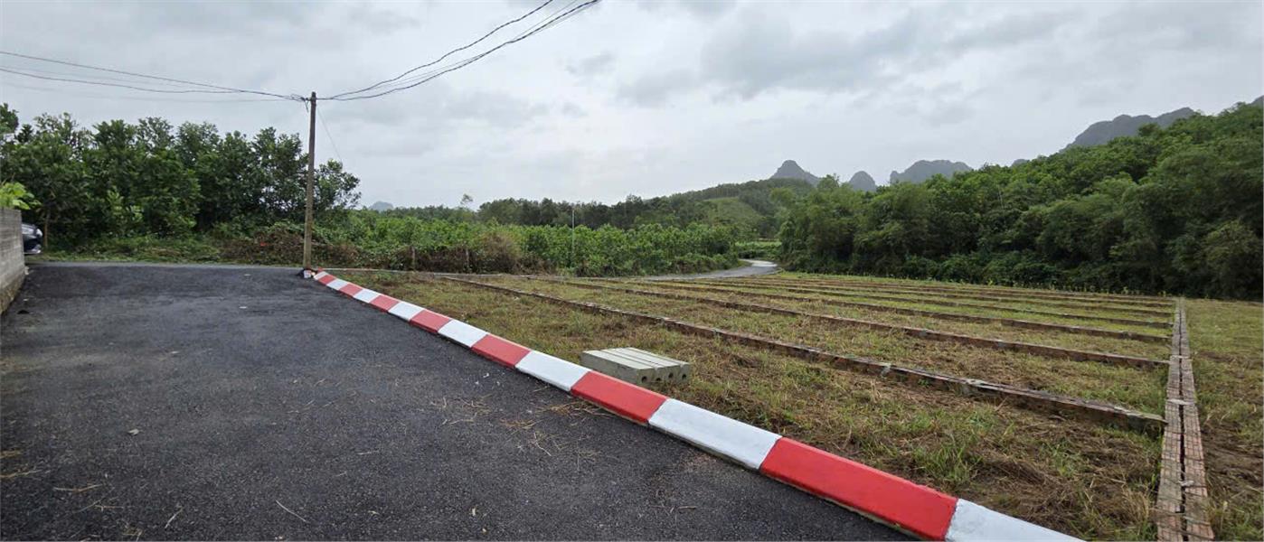  ???? 195 TRIỆU – GIÁ NÀY KHÔNG LẶP LẠI Ở TRUNG TÂM AN BÌNH!
❌ Không phải đất xa – ❌ không đất nông nghiệp – ❌ không chờ sổ 