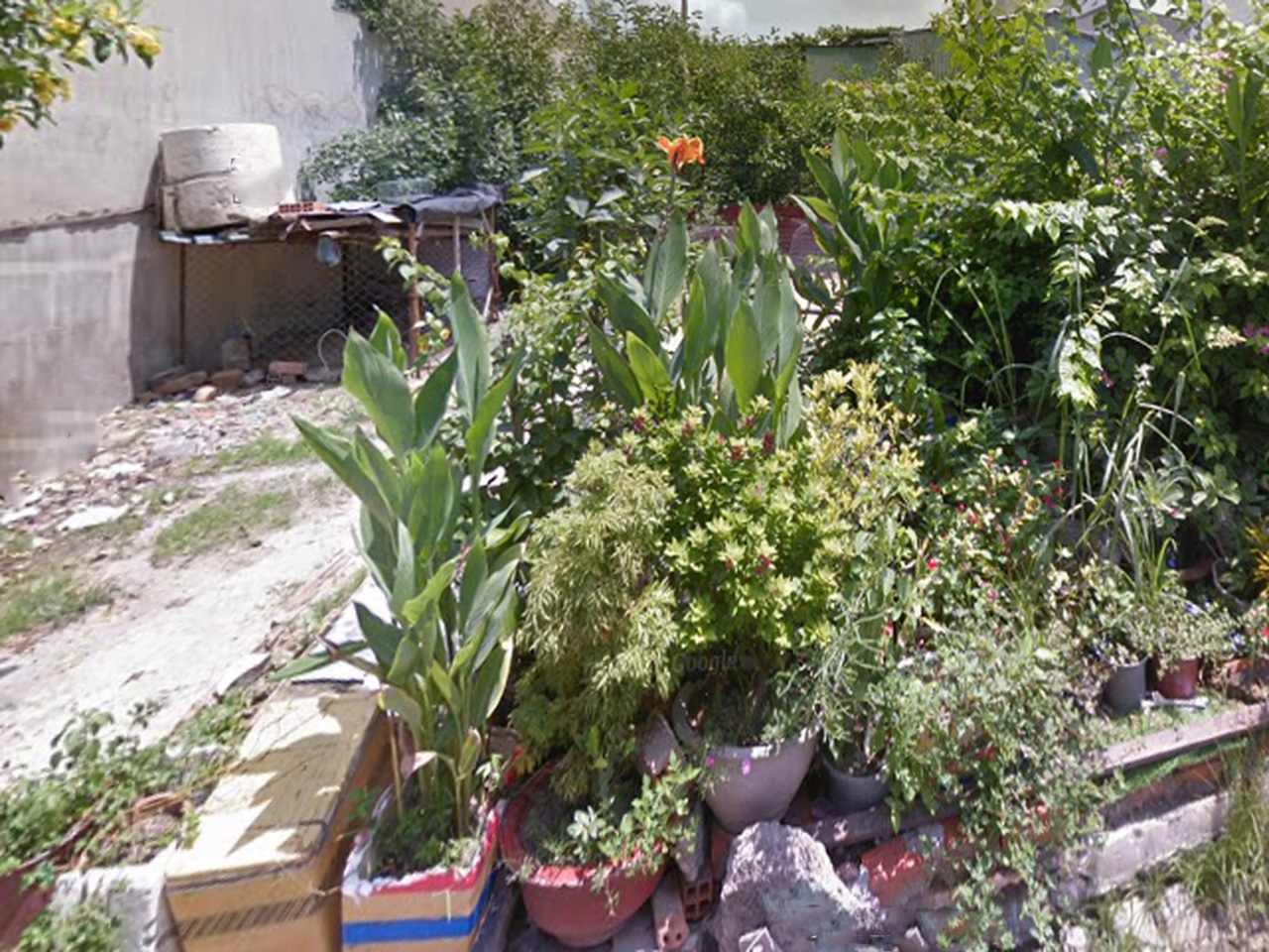  O1720 ???????? Giảm 800tr! đất Phan Văn Hớn Q12, SHR, Vuông, HXT, 8x18m, 5.x tỷ 