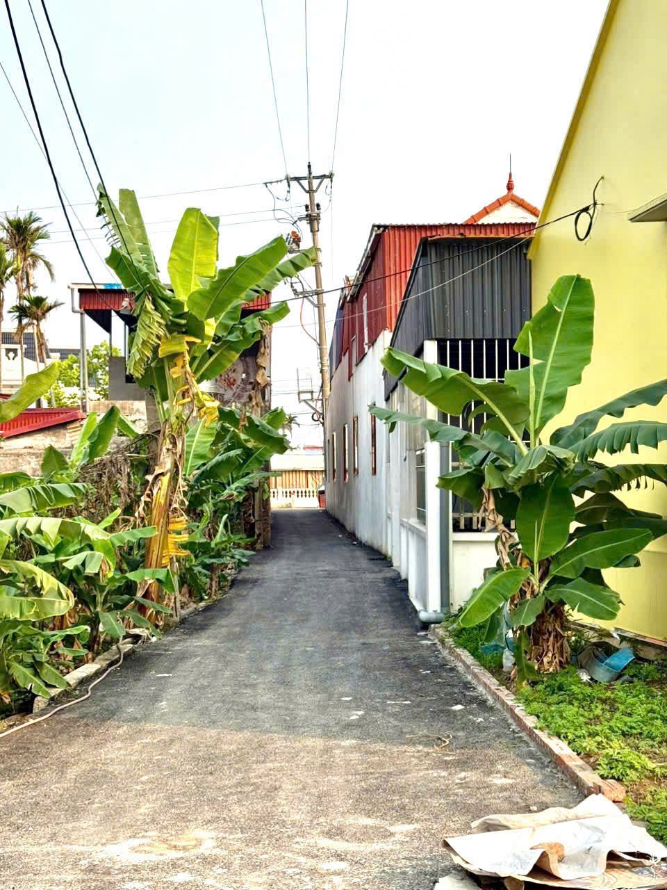  LÔ DUY NHẤT TRUNG NGHĨA ĐỒ SƠN – GIÁ F0 HIẾM 6XX TRIỆU – THANH KHOẢN CAO  ZALO 0567 222 555 