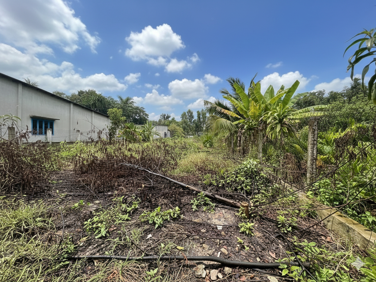  H1740 ???? đất Nhị Bình 15 Hóc Môn, SHR, Vuông, HXT, 13.2x82m, 14.x tỷ 