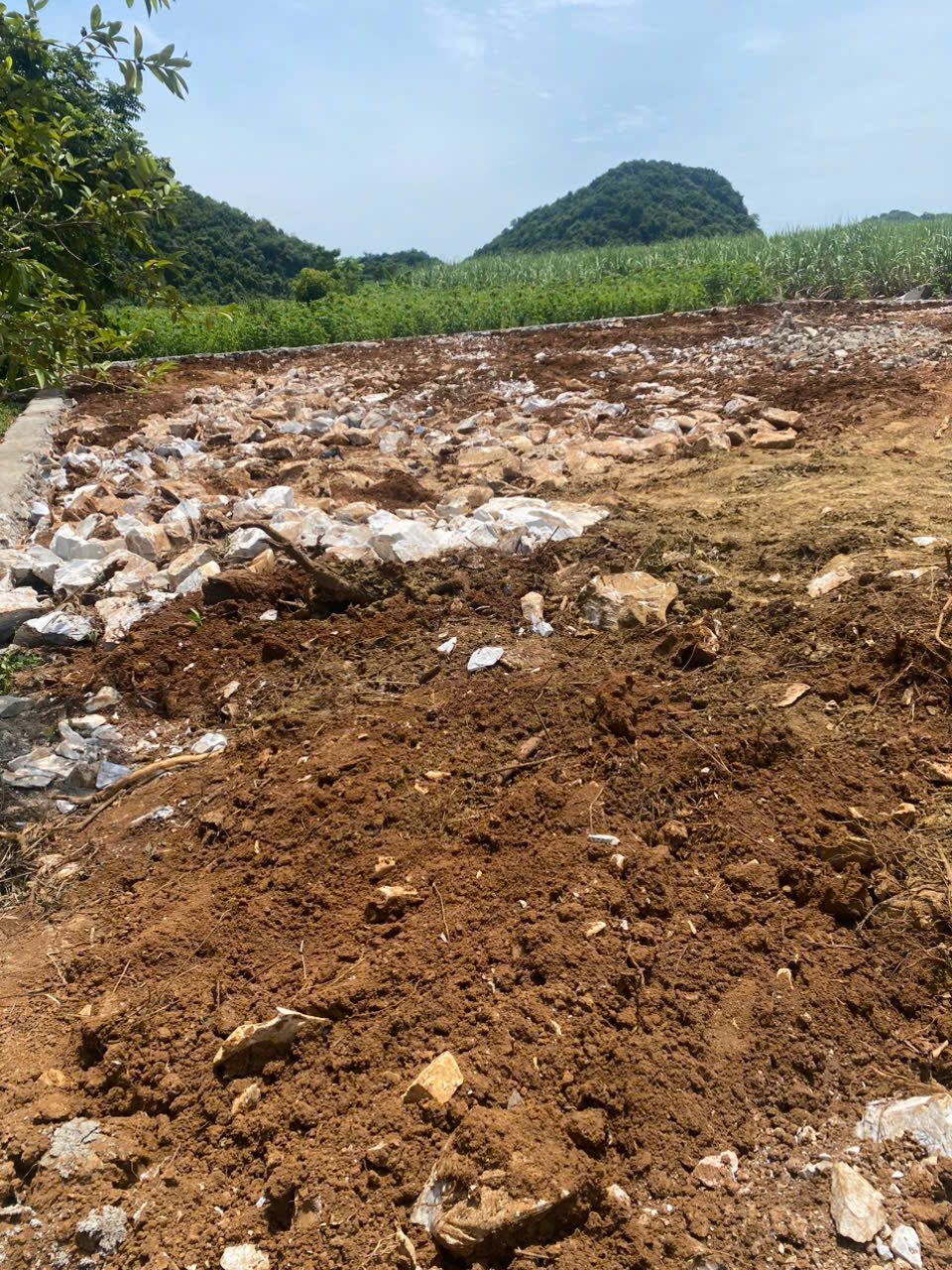  BÁN ĐẤT CHÍNH CHỦ – SỔ ĐỎ RIÊNG 