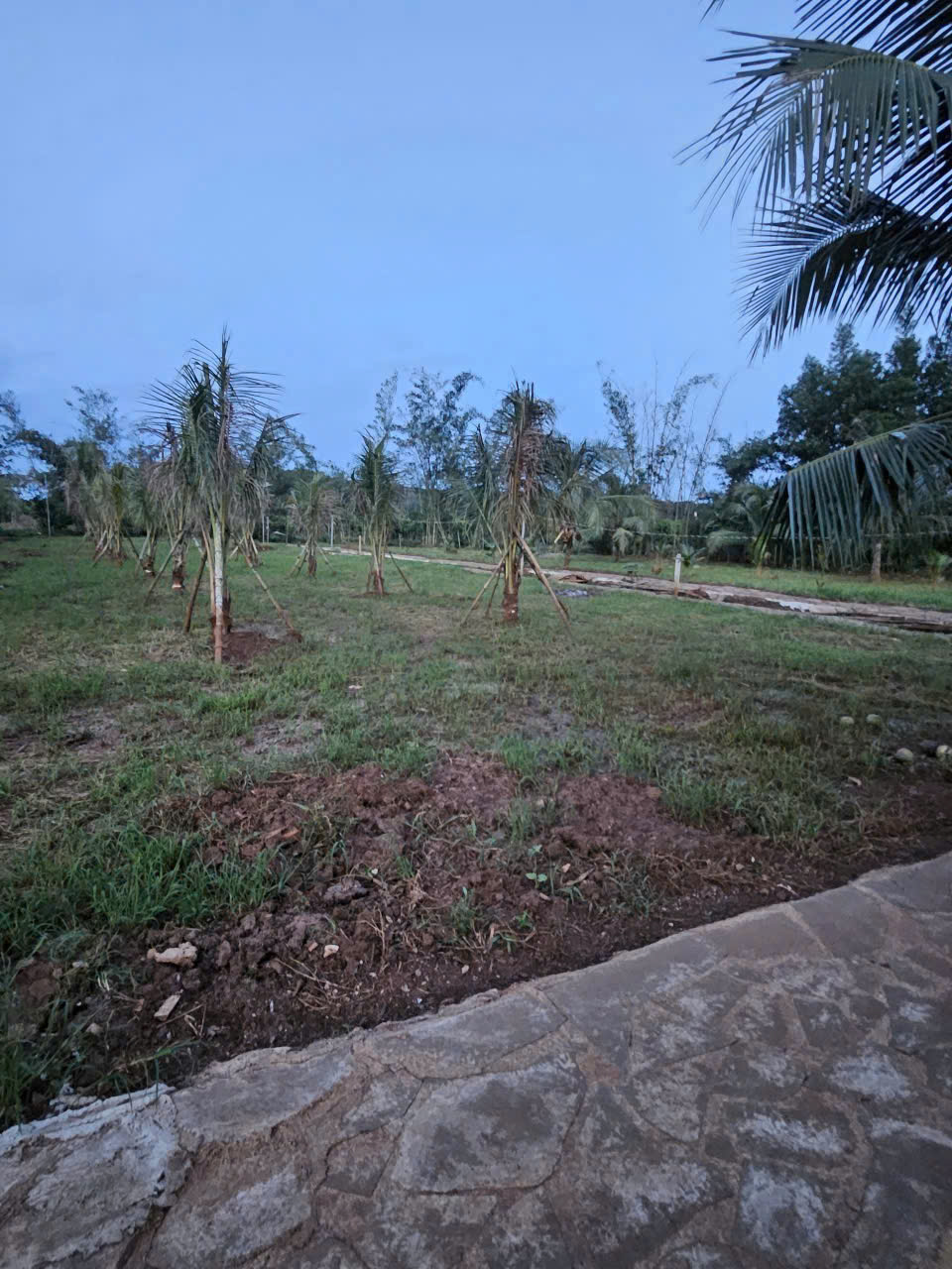  CẦN BÁN GẤP ĐẤT THỔ CƯ – GẦN SÂN BAY LONG THÀNH 