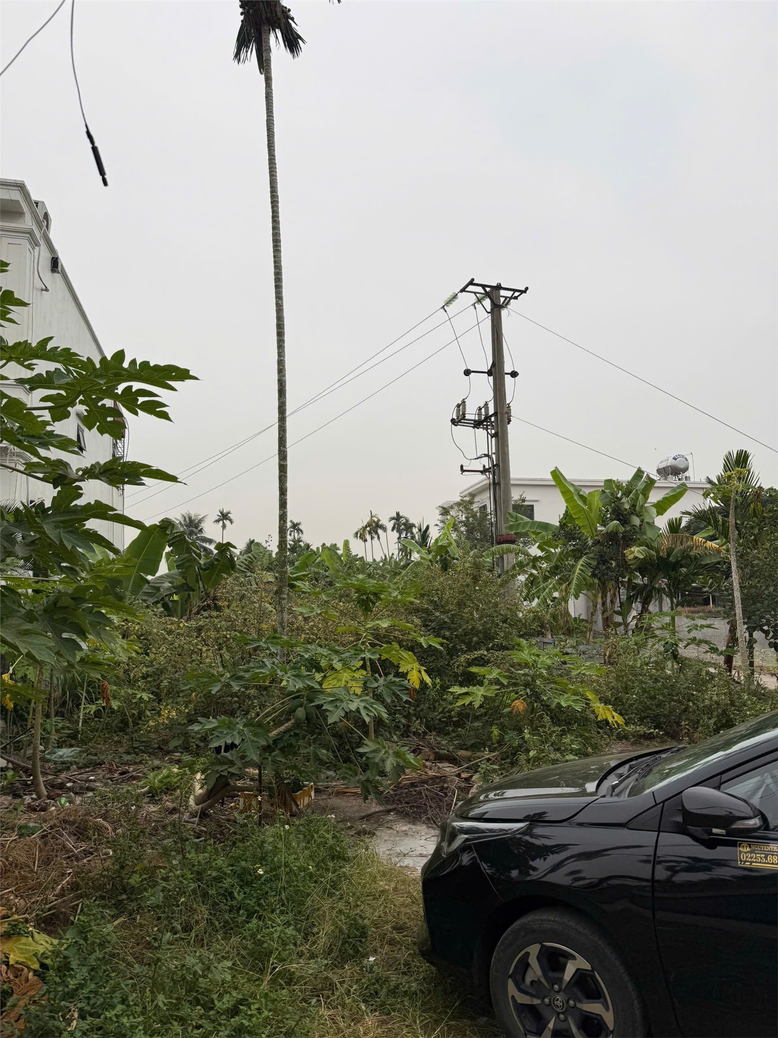  LÔ ĐẤT SAU MẶT ĐƯỜNG PHẠM VĂN ĐỒNG (353) – 247M² – MẶT TIỀN 11M HIẾM – GIÁ CHỈ 2X TRIỆU/M²  ZALO 0567 222 555 