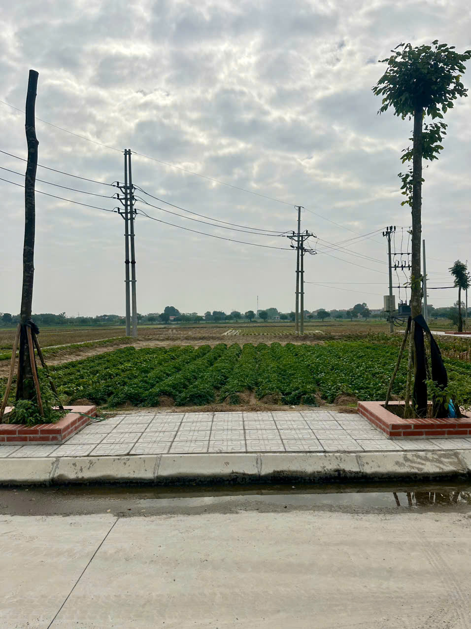  Bán đất đấu giá Cống Đầm cực đẹp, Đại Xuyên Phú Xuyên 