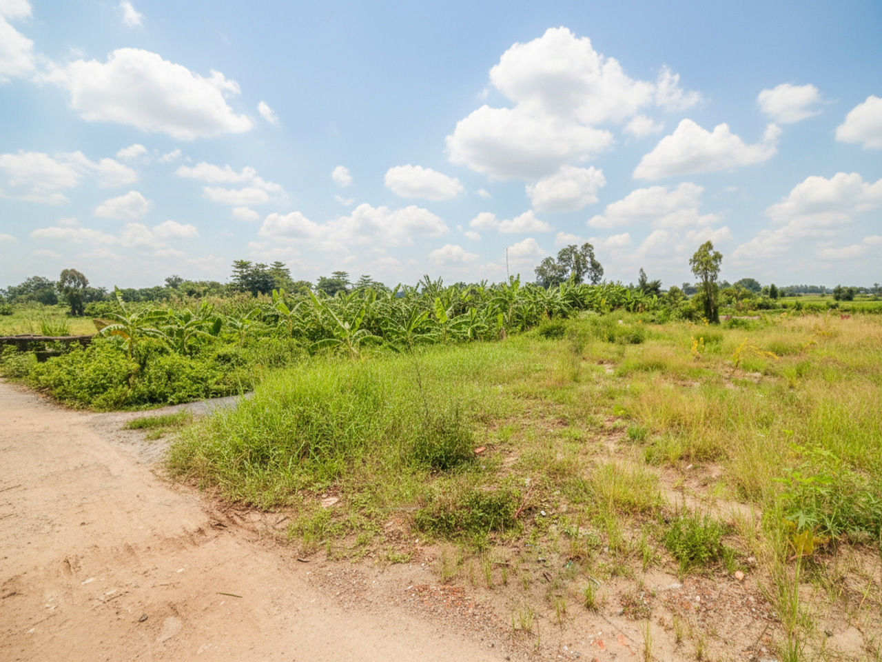  D1751 ⚡️ đất Thạnh Xuân 52 Hóc Môn, SHR, HXT, 26x46m, 5.x tỷ 