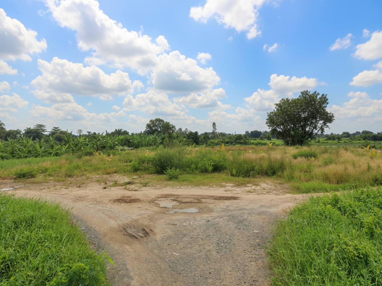  T1753 ???? đất Thạnh Xuân 52 Hóc Môn, SHR, HXT, 55x51m, 16.x tỷ 