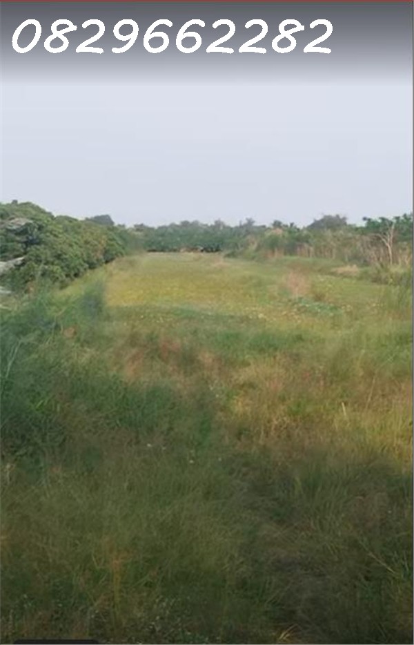  Bán Đất Nông Nghiệp 4678m2 Sổ Hồng MT 5m Đường Tám Sáng, Tân Bình, Châu Thành, Đồng Tháp. Giá 1.5 Tỷ. 