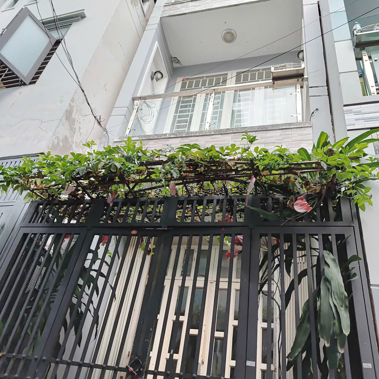  Nhà hẻm 56 Bùi Minh Trực - P5, Giá : 4,880 Tỉ (Bớt Lộc) 