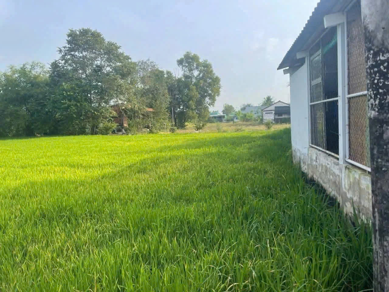  TÔI CHÍNH CHỦ BÁN ĐẤT LÔ ĐẤT XÃ CẦN ĐƯỚC, TỈNH TÂY NINH. 