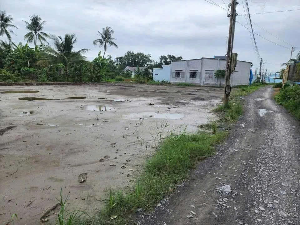  Bán 2000m2 đất lúa khu vực chuyển thổ , thích hợp phân lô 