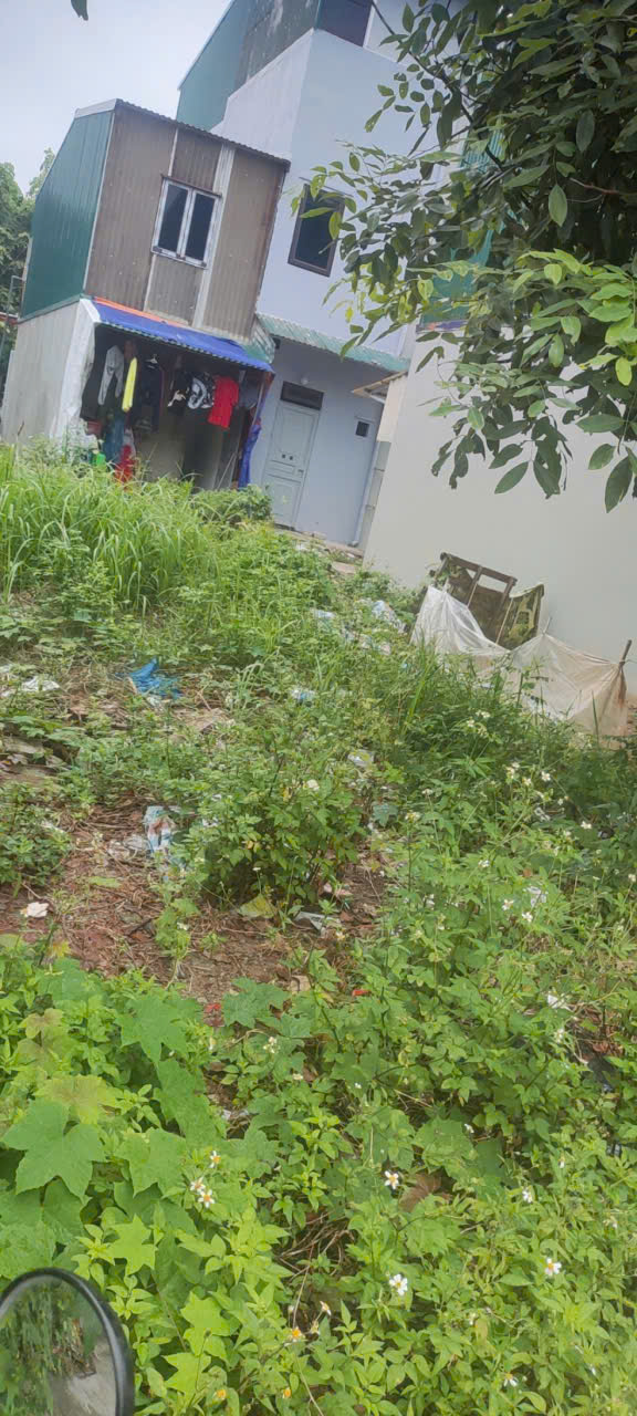  ????????????.THỬA ĐẤT ĐẸP GIÁ HỢP LÝ- GẦN HỒ ĐIỀU HÒA ,GẦN TRUNG TÂM  ĐẠI ÁNG ,NGỌC HỒI.HN  ????????????
???? 