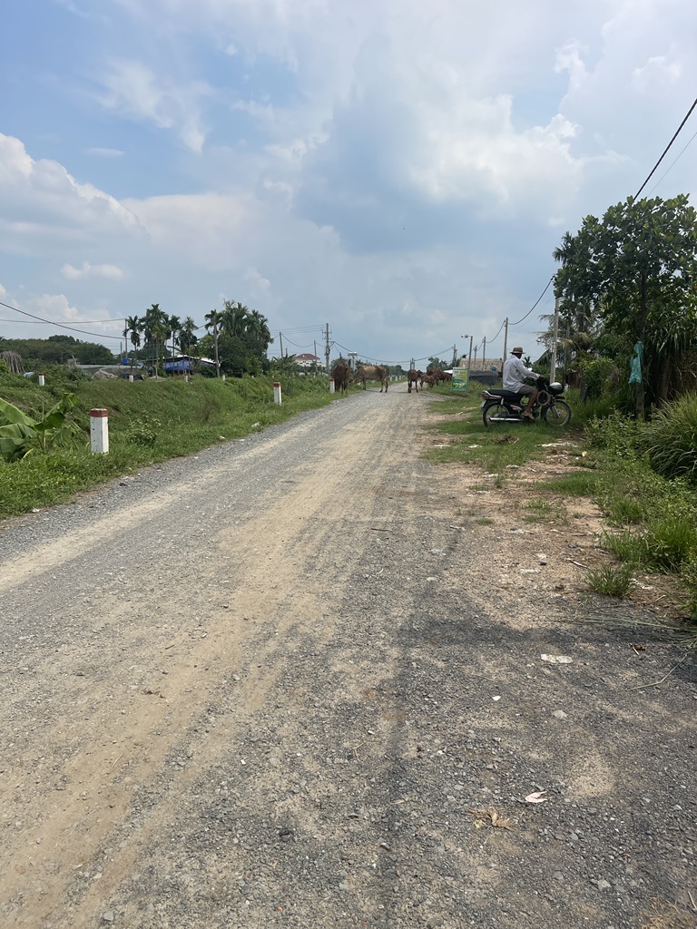  Siêu phẩm đất 4700m2 - Tân Thới Nhì - Hóc Môn  SHR, 25 tỷ. Đầu tư, Ngay Chỉ 25 Tỷ 