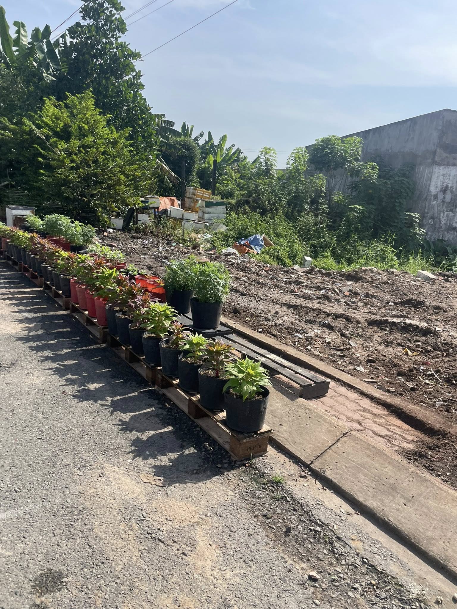  Bán đất mặt tiền 5x19,5m giá 5 tỷ Đường Đông Thạnh 7-3 