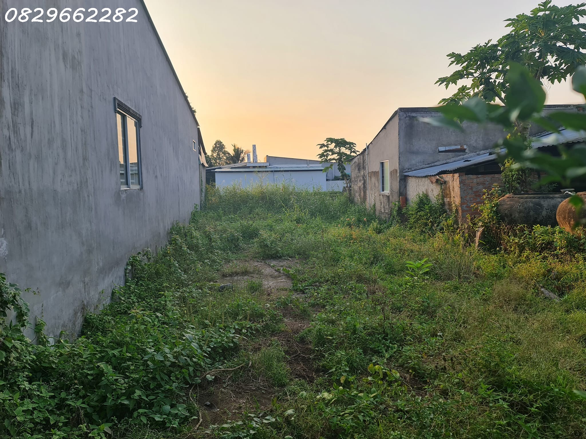  Bán Đất Thổ Cư Sổ Hồng 156m² đường Cai Dao, Tân Quy Đông, Sa Đéc, ĐTháp. Giá 1.35 Tỷ. 