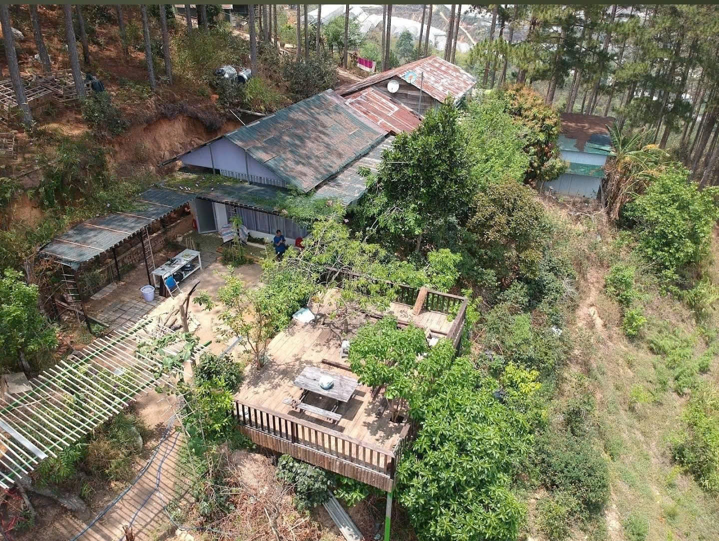  CHO THUÊ ĐẤT NÔNG NGHIỆP VIEW RỪNG THÔNG – P. CAM LY (P.5), ĐÀ LẠT 