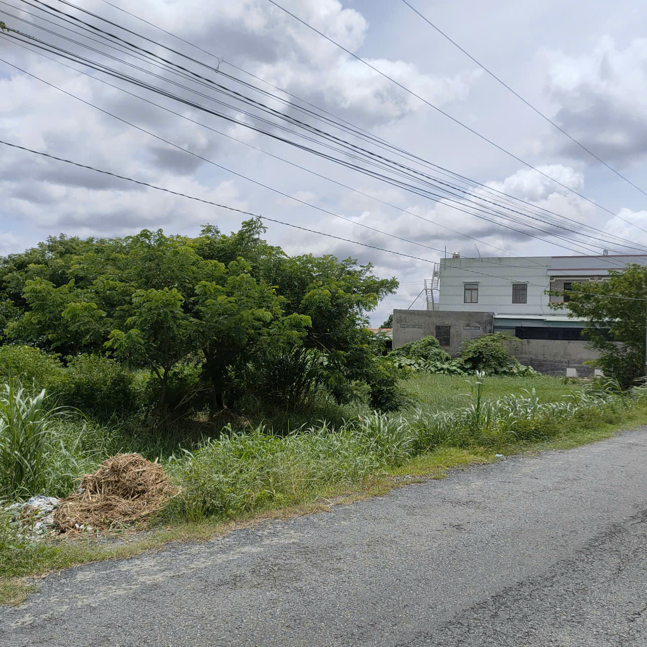  Giá Tốt: Cho Thuê Đất Ruộng 5.400m2 ( 60x90m) Mặt Tiền Huỳnh Châu Sổ, P.6, Tp.Tân An 