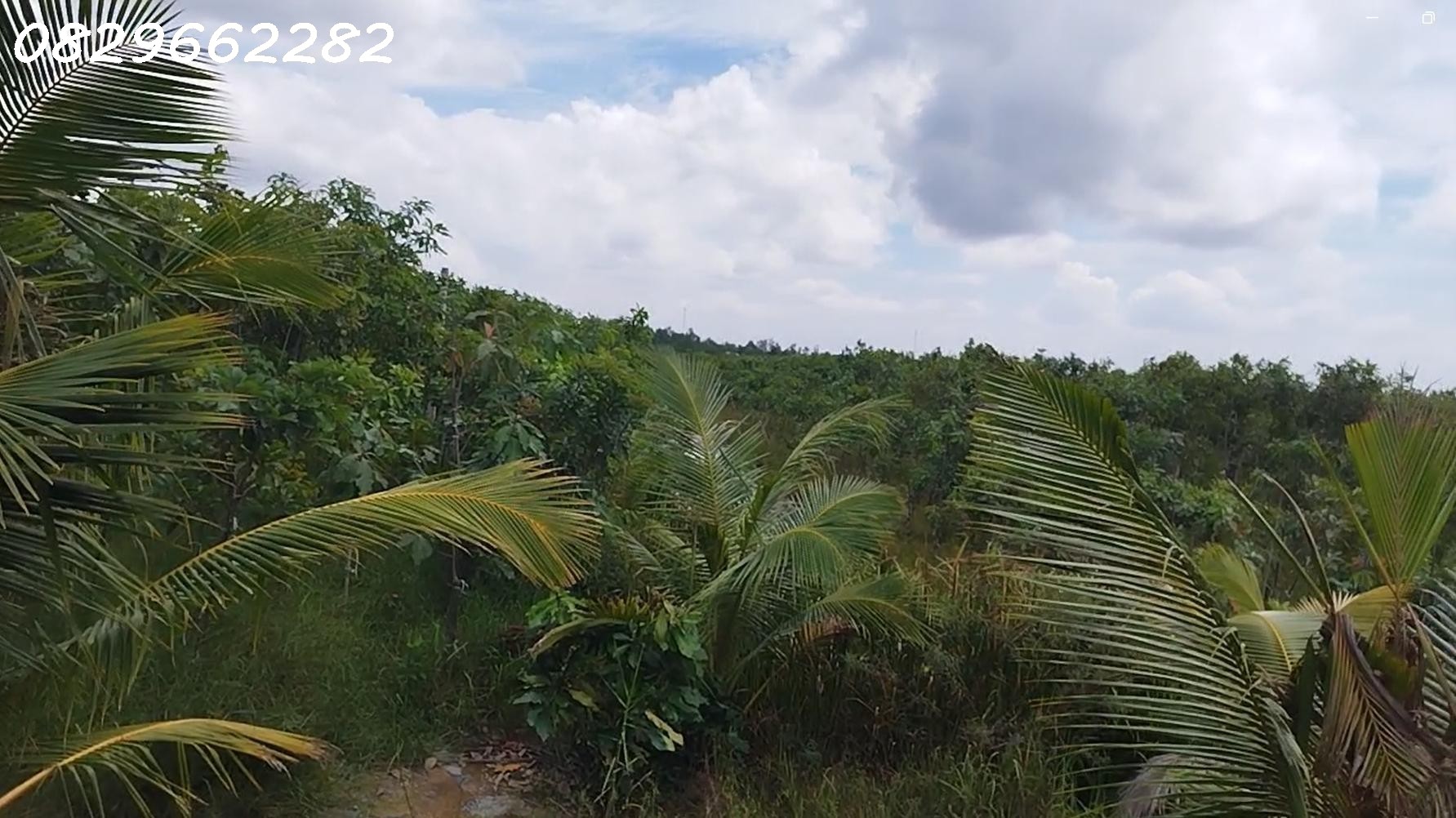  Bán 4.4ha Đất Vườn Cây Ăn Trái, Xã Hoà Long, Đồng Tháp. Pháp lý Sổ Hồng, 