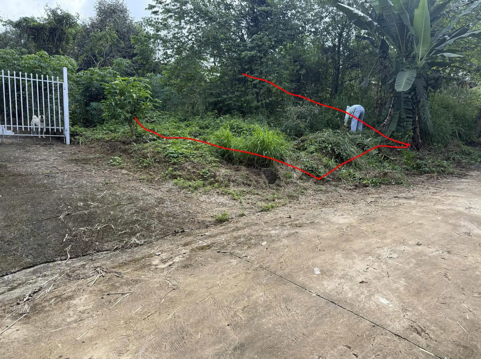  CHỈ 780 TRIỆU SỞ HỮU NGAY ĐẤT BÀU HÀM , THỐNG NHẤT – KÊNH GIỮ TIỀN DÀI HẠN AN TOÀN 