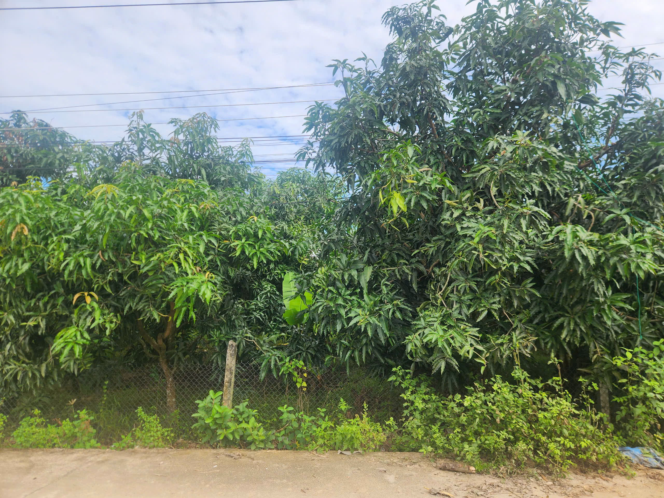  SIÊU PHẨM ĐẤT ĐẸP - Phù Hợp Cho Mọi Gia Đình - Diện tích : 492m2 