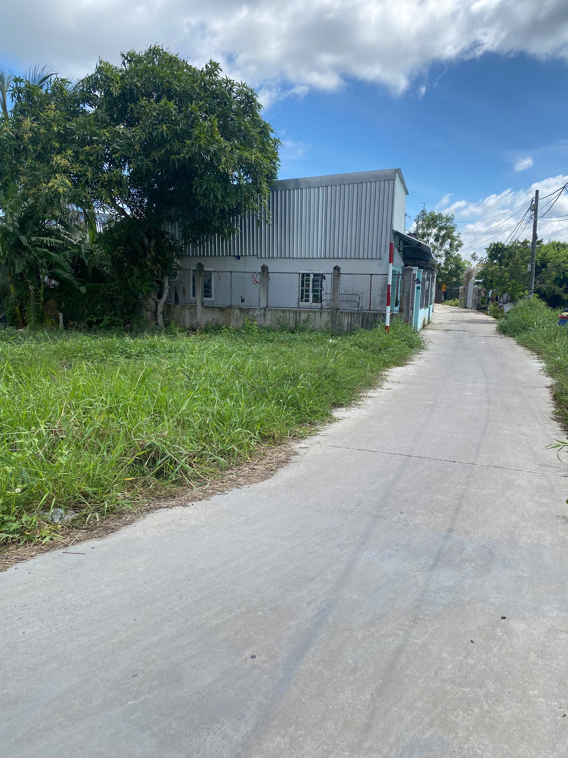  Bán gấp lô góc 2MT Năm Nho, 173m², giá 3,1 tỷ – chủ ngộp 