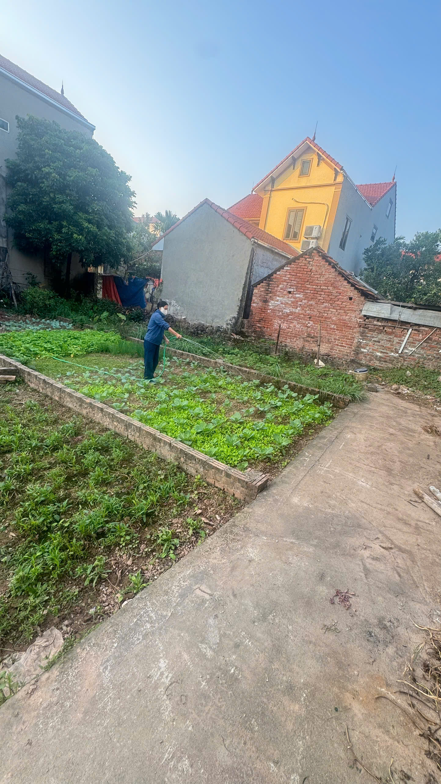  HÀNG F0 RẺ NHẤT ĐAN PHƯỢNG – 50M - GIÁ 5X TRIỆU/M2 