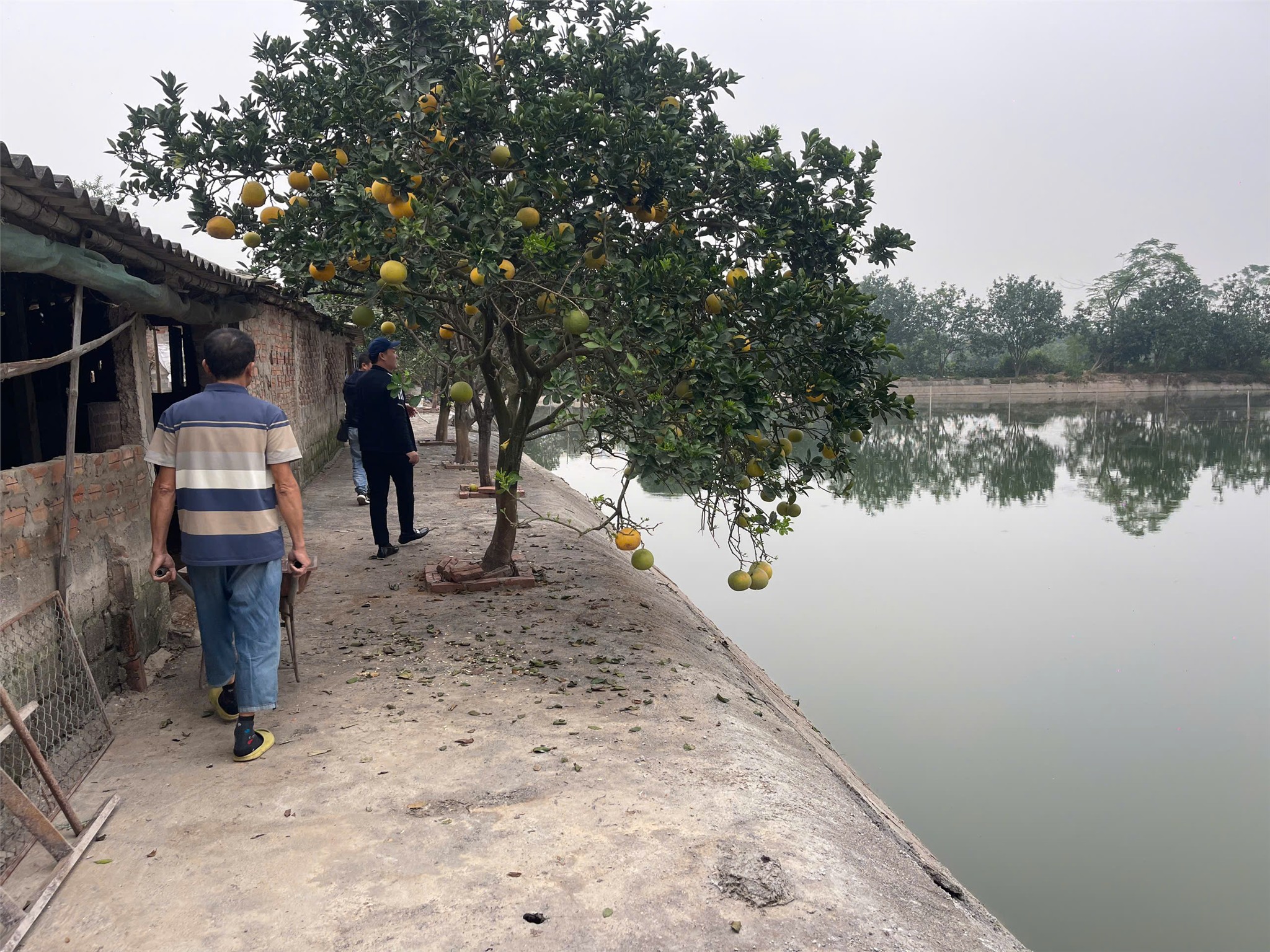  ĐẤT ĐẸP - GIÁ TỐT CHÍNH CHỦ – CHÍNH CHỦ cần bán mảnh đất diện tích 6480m2 Xã Đông Lỗ, Ứng Hòa 