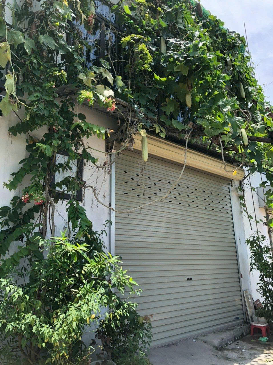  Cho thuê nhà 3 tầng,ô tô đỗ cửa thoải mái, giá chỉ 4,5tr ngõ 115 Định Công, Hoàng Mai,HN 