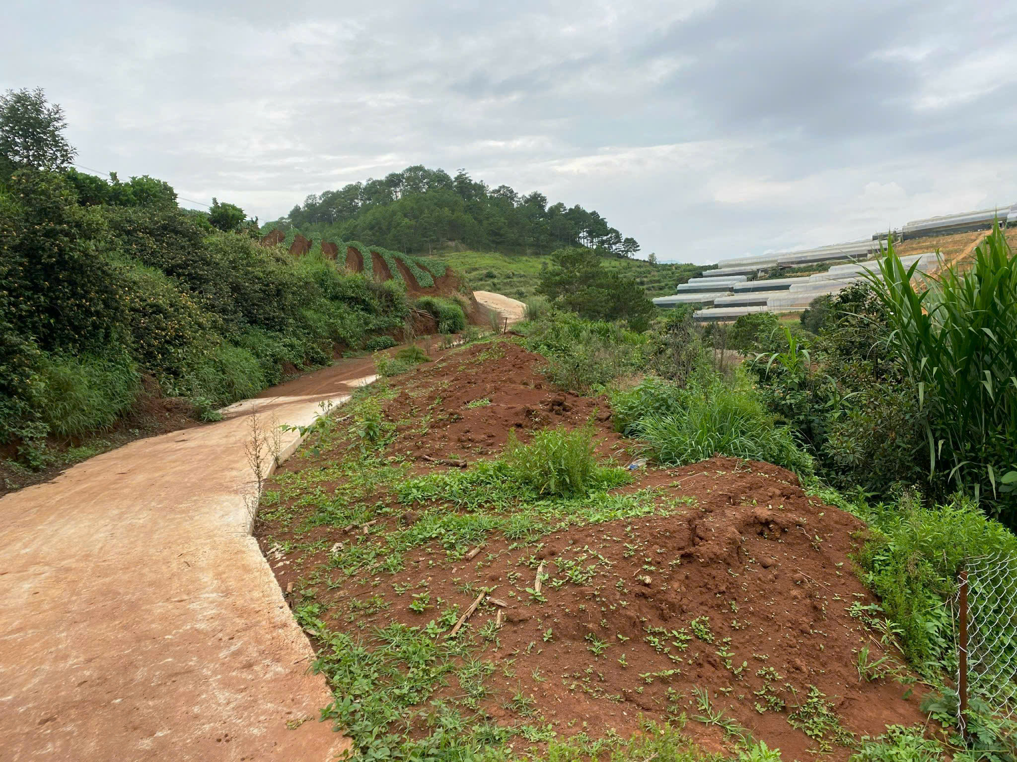  SỞ HỮU NGAY LÔ ĐẤT ĐẸP - GIÁ TỐT - Vị Trí Đắc Địa Tại Đa Quý, Xã Xuân Thọ, TP Đà Lạt, Lâm Đồng 