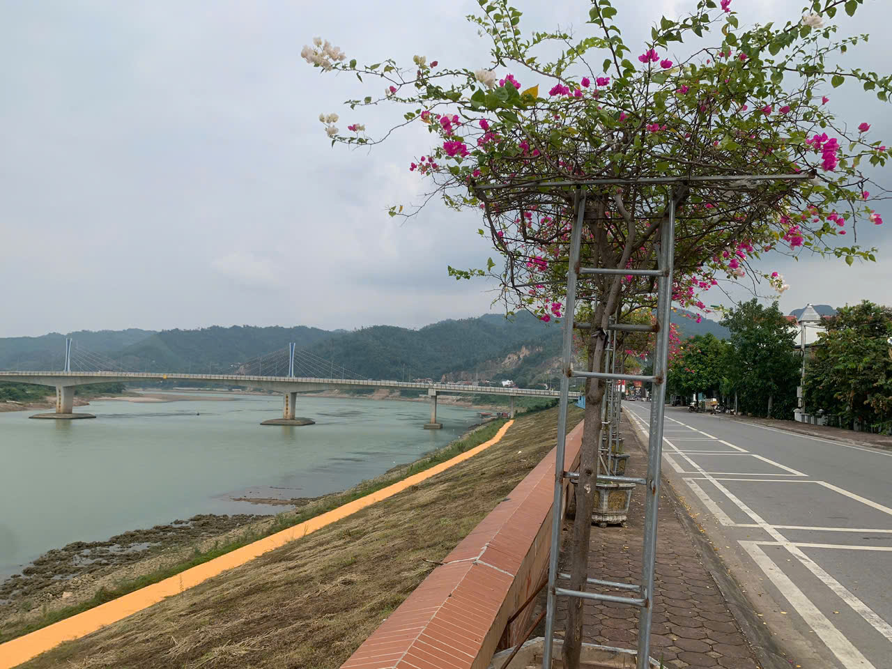  Bán nhà - Vị trí siêu đẹp 3 mặt tiền đường nhựa lớn trung tâm sầm uất nhất TP. Hòa Bình 