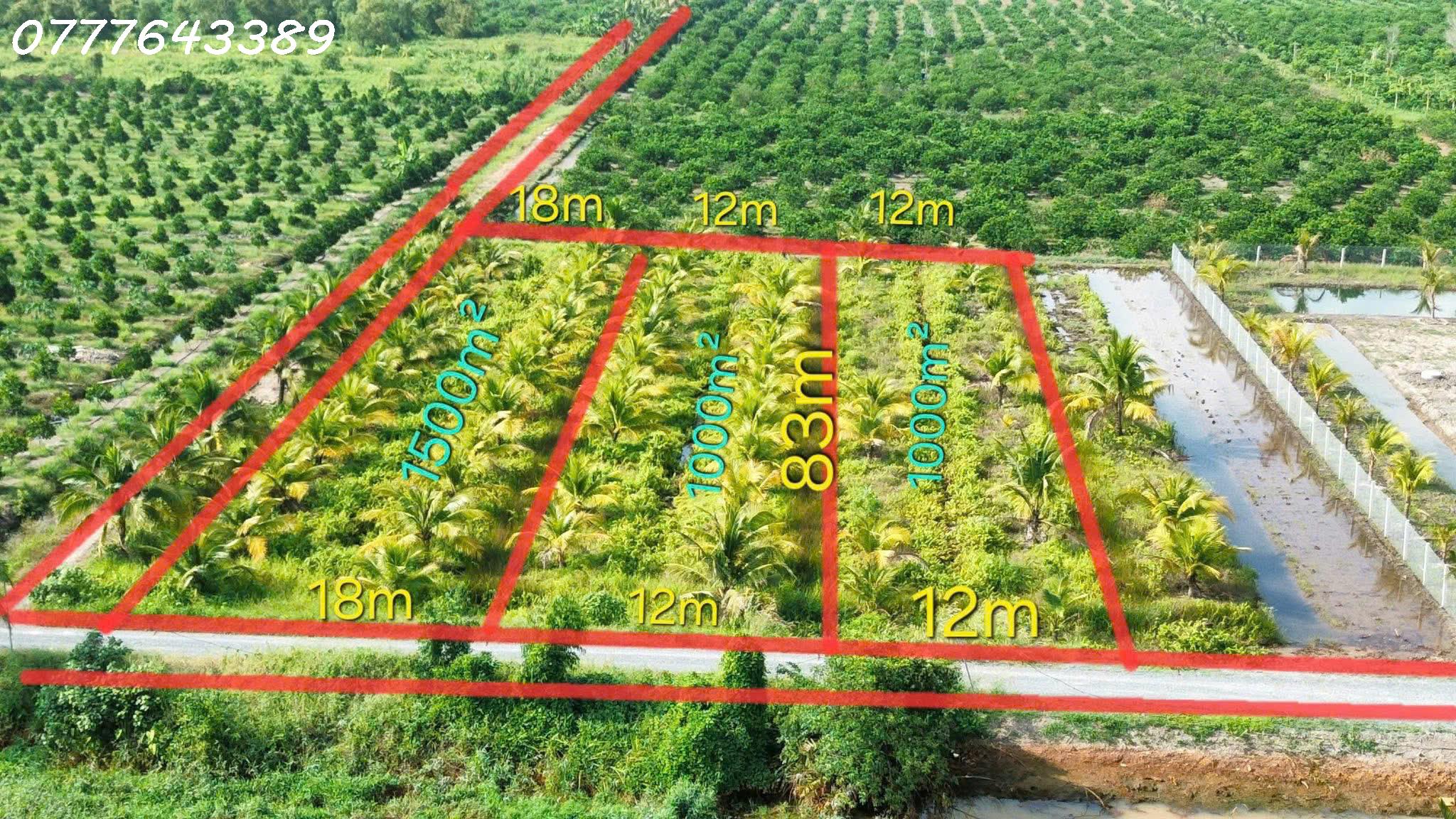  Hàng hiếm - Đất vườn siêu đẹp tại Thủ Thừa giá 789tr / DT 1000mv 