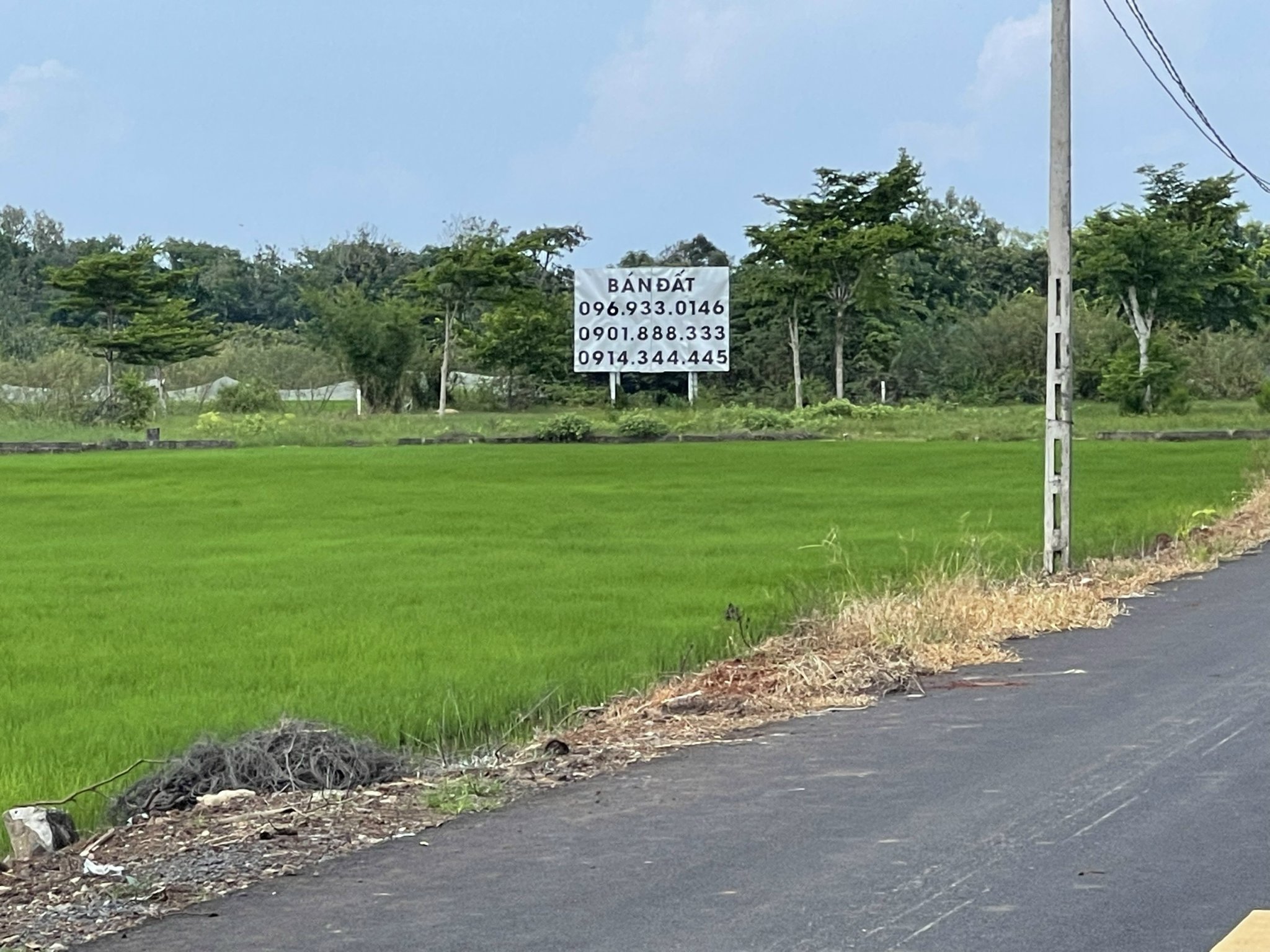  Cc bán rẻ đất dự án khu đô thị, villa, khách sạn tại Phước Thuận - Hồ Tràm - Vũng Tàu 