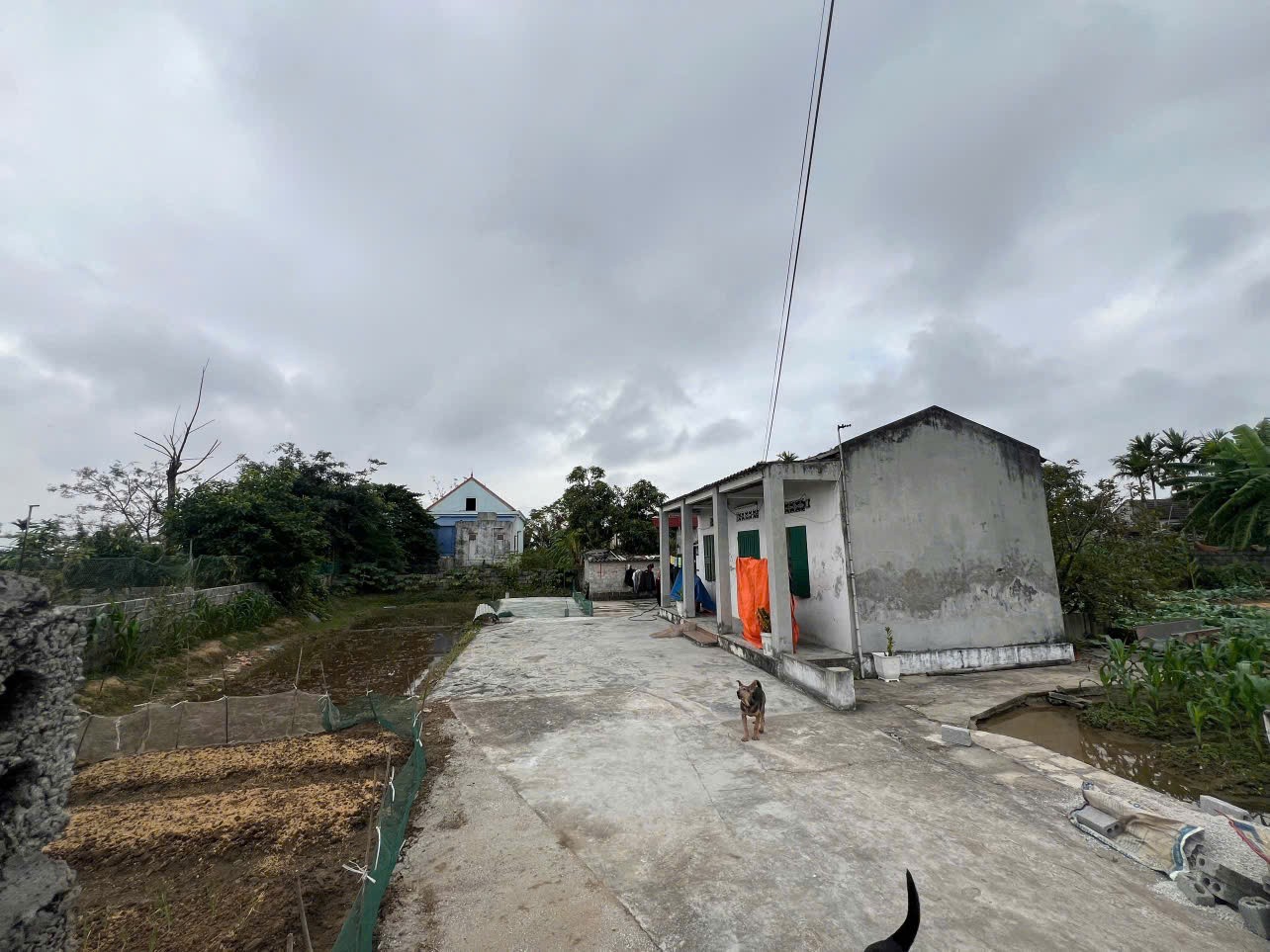  Bán lô đất 73,6m² Đoàn xá – Giá 1,x tỷ  Ngõ nhựa 4m  Khu dân cư  ZALO 0567 222 555 