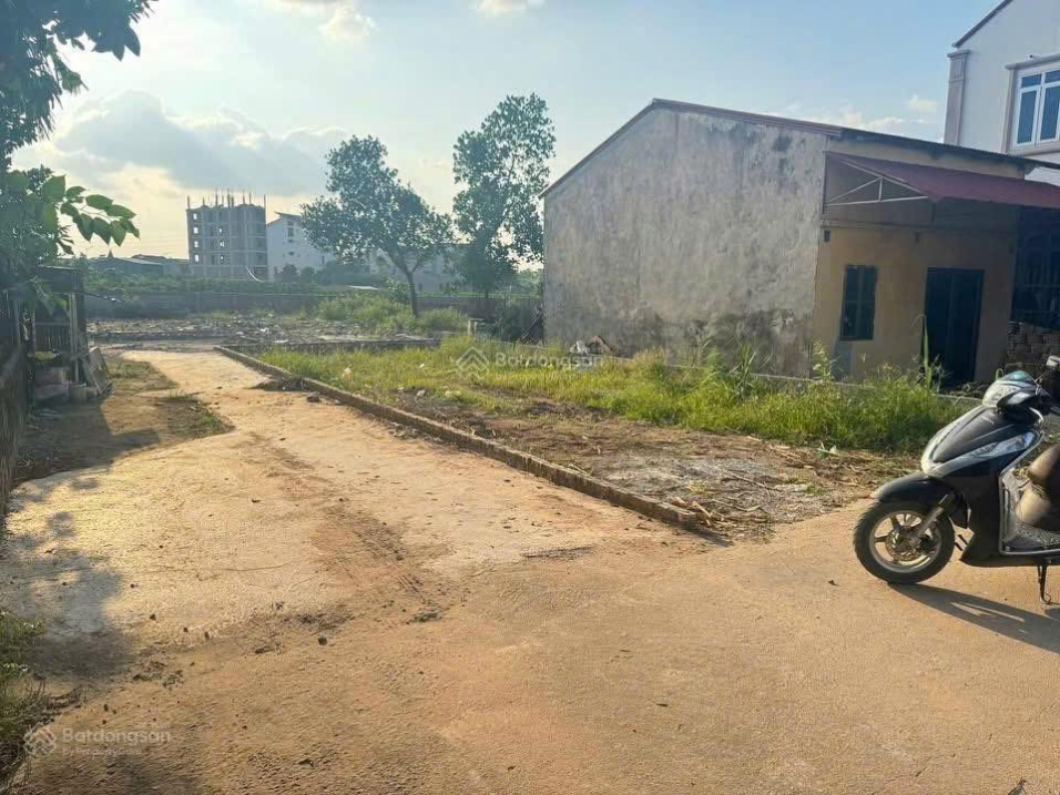  Bán đất Cổ Đông Sơn Tây gần FPT, ĐHQG , khu CNC Hòa Lạc 