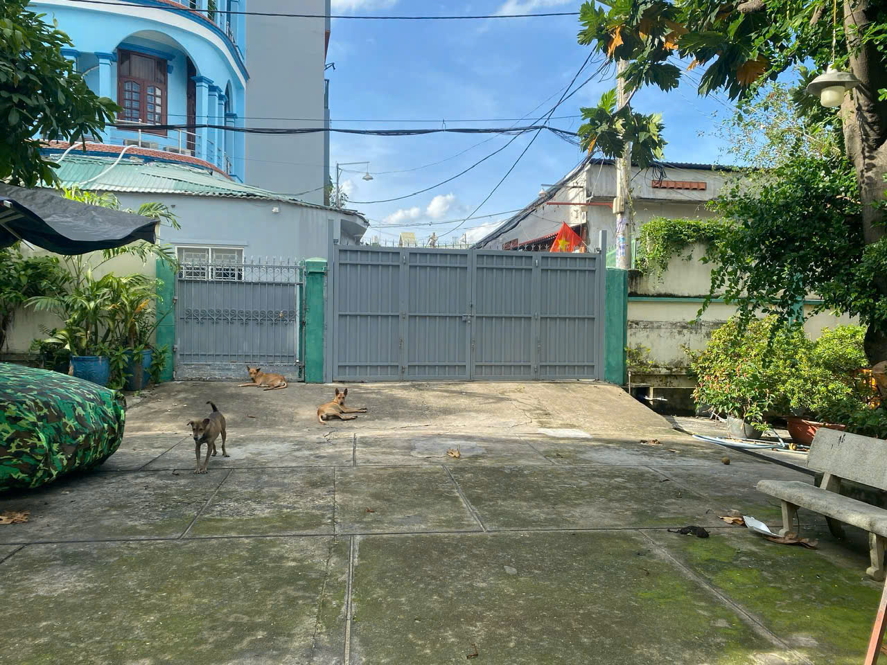  SIÊU PHẨM BIỆT THỰ SÂN VƯỜN Q12 – 1.000m² THỔ CƯ HIẾM GIÁ RẺ 