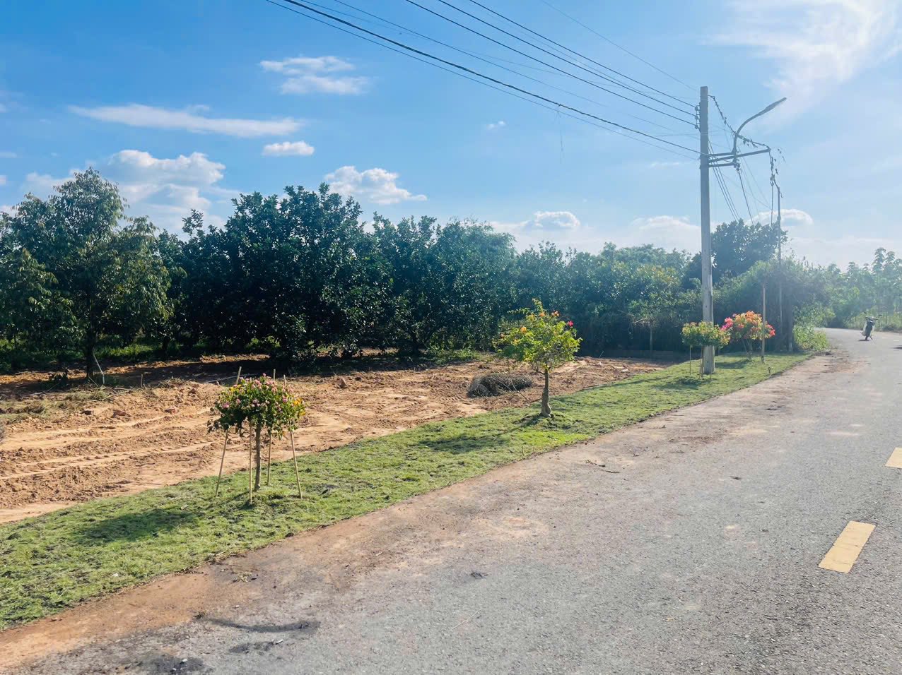  ???? BÁN VƯỜN BƯỞI – TẶNG KÈM ĐẤT THỔ CƯ, GIÁ CHỈ TỪ 300 TRIỆU SỞ HỮU NGAY ???? 