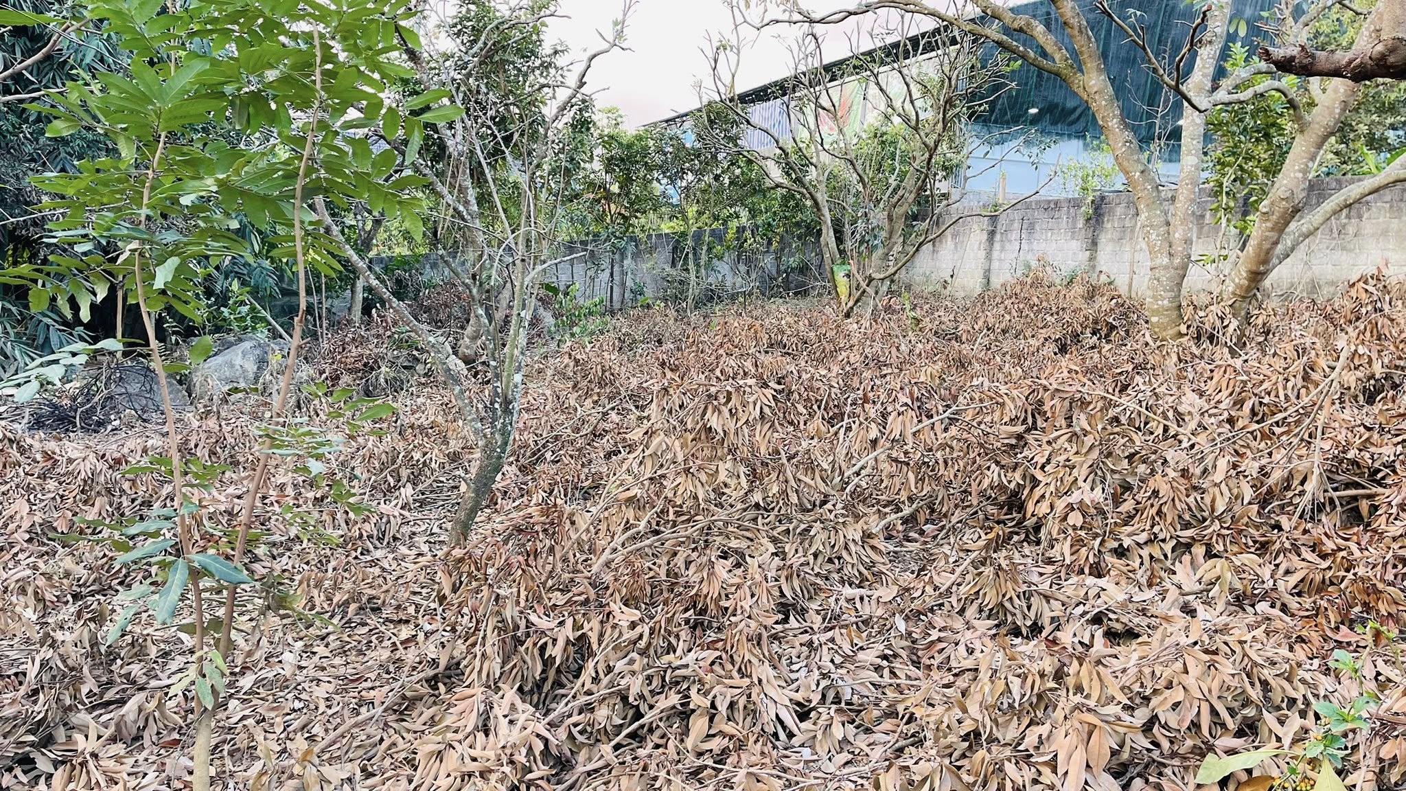  Bán lô đất 645m2 ( rộng 15, sâu 43m)Thuộc  Tiểu Khu Bó Pun – Mộc Châu – Sơn La. 