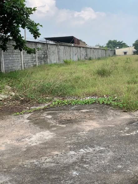  Bán đất mặt tiền 10.138m ngang 39m giá 199 tỷ Đường Tô Ký 12 