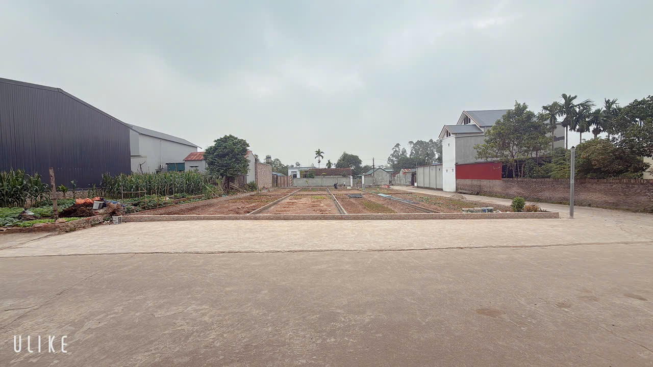  +

TỔNG 8 LÔ FO ĐƯỜNG THÔNG RỘNG 11M  5 LÀN Ô TÔ TRÁNH NHAU  

CAM KÊT HOA HẬU ĐẸP NHẤT THĂNG TRÍ KIM ANH -DT 100 M FUN THỔ CƯ 