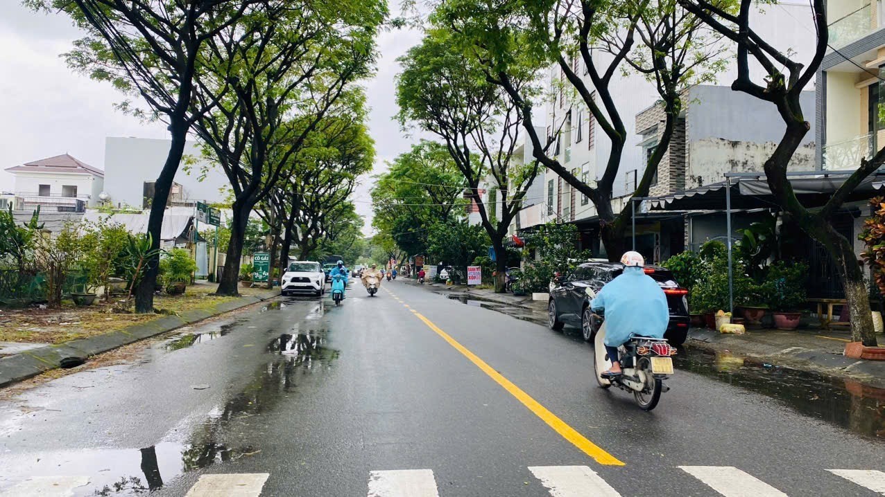  Bán quỹ đất Trần Đình Tri 3.565,7m² ngang 56,5m gần chợ giá 105 tỷ 