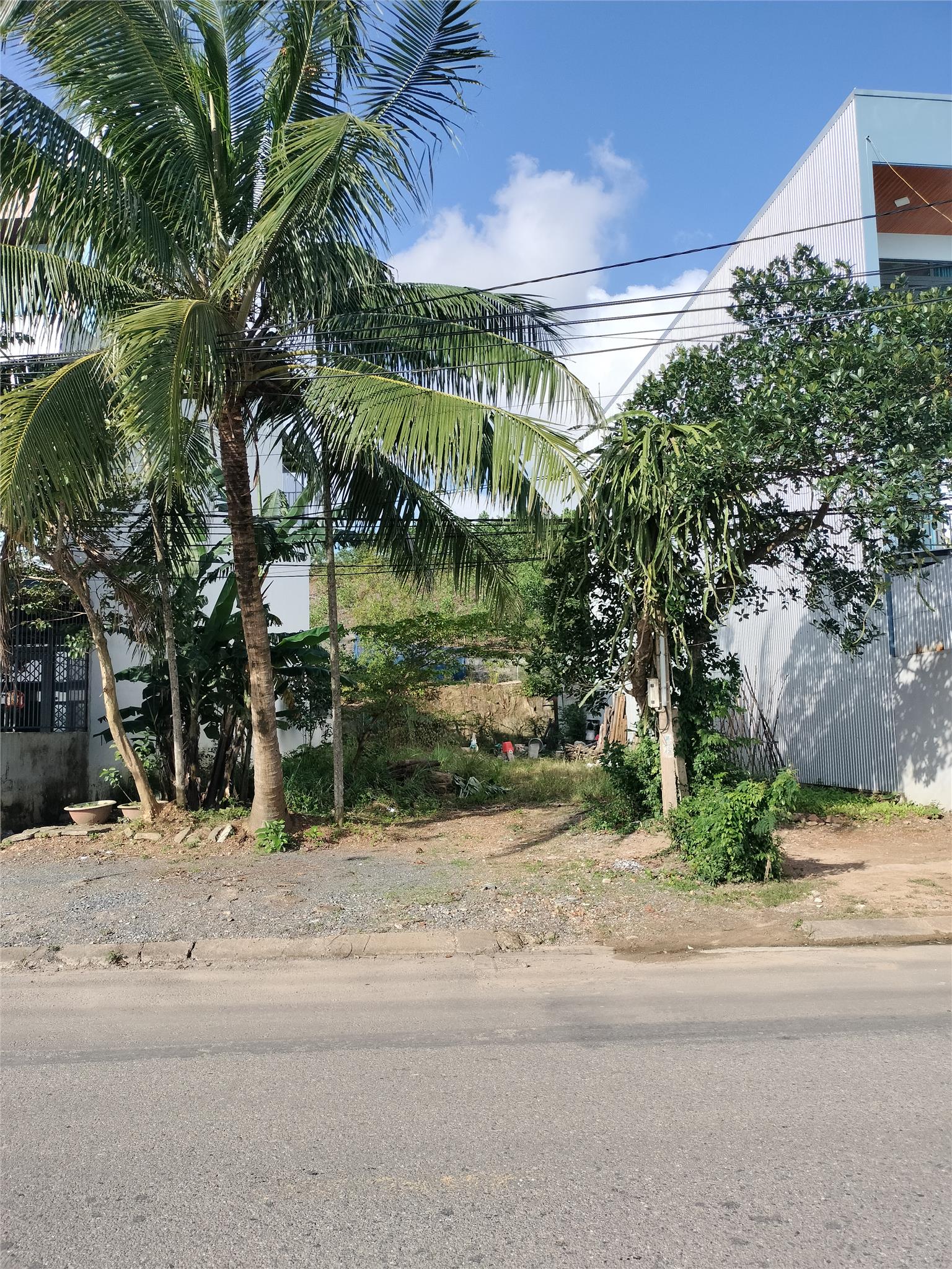  ???? ĐẤT MẶT TIỀN ĐƯỜNG 7M5 – CẨM LỆ – GIÁ CHỈ 3,25 TỶ ???? 