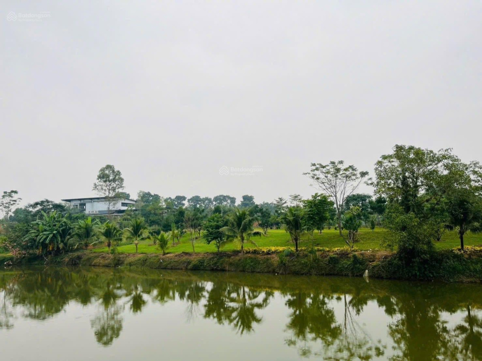  Chính thức mở bán khu đất vàng cực kỳ hấp dẫn 