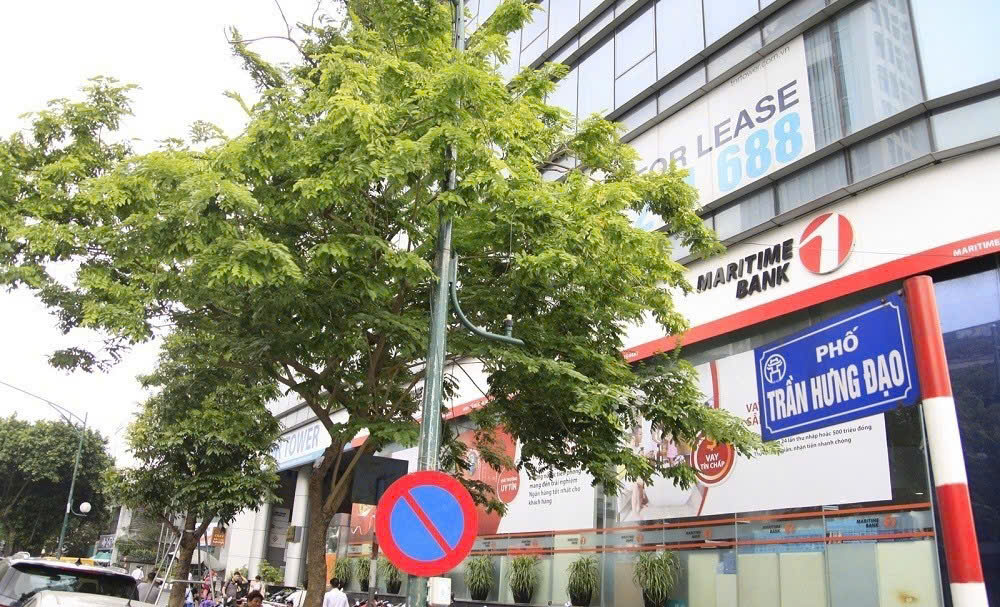  LinhHK bán nhà mặt phố Trần Hưng Đạo – 50m², MT 5m, vuông vắn, 50tỷ 