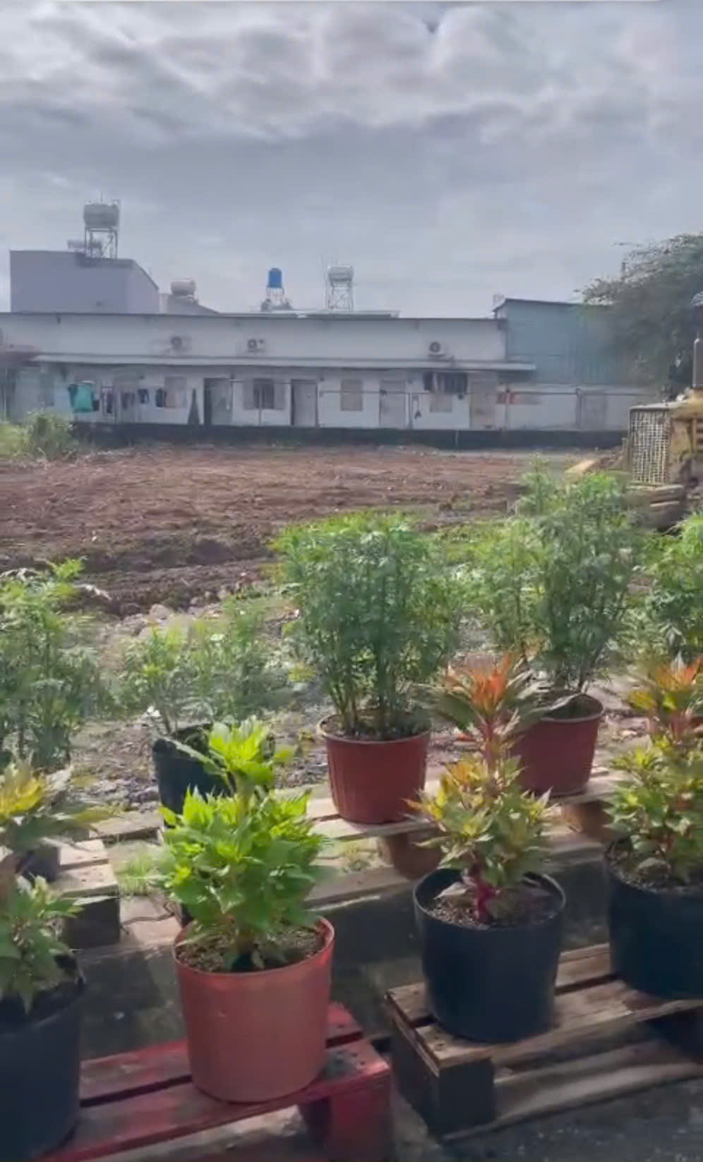  ĐẤT NỀN FO SỔ HỒNG RIÊNG MẶT TIỀN ĐÔNG THẠNH – HÓC MÔN 